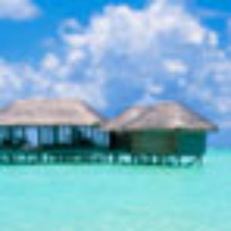 Madhav's Biryani House